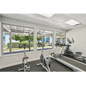 Free weights